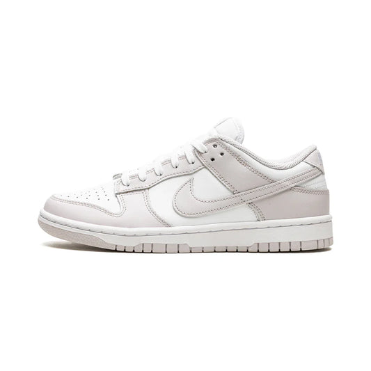 Dunk Low « Venise »