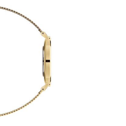 Montre Daniel Wellington PETITE EVERGOLD 