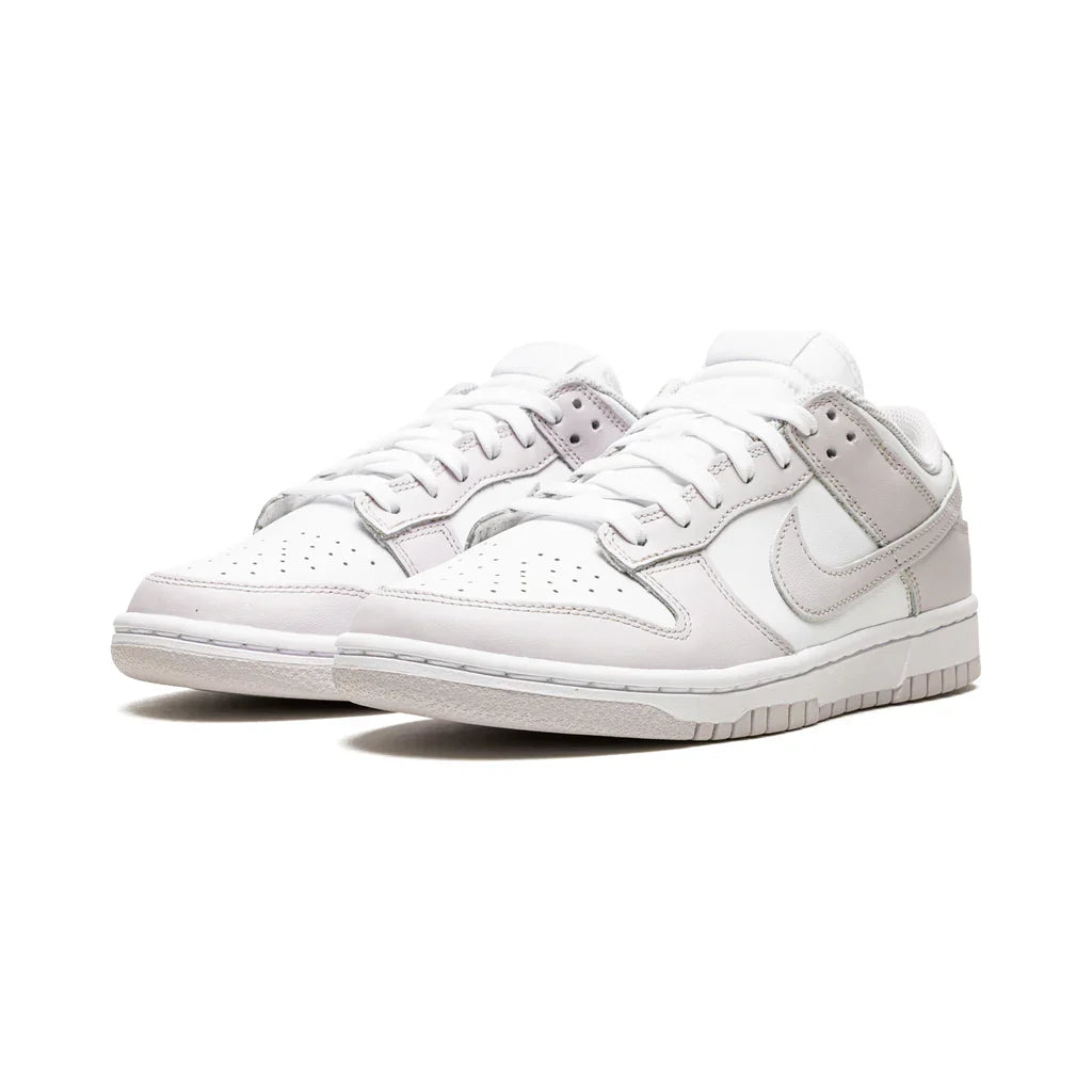 Dunk Low « Venise »